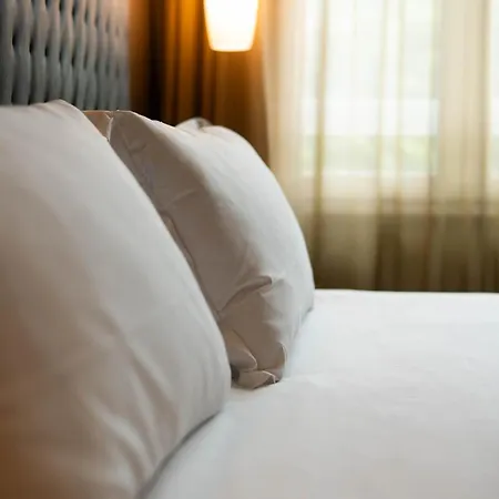 Axolute Comfort ホテル
