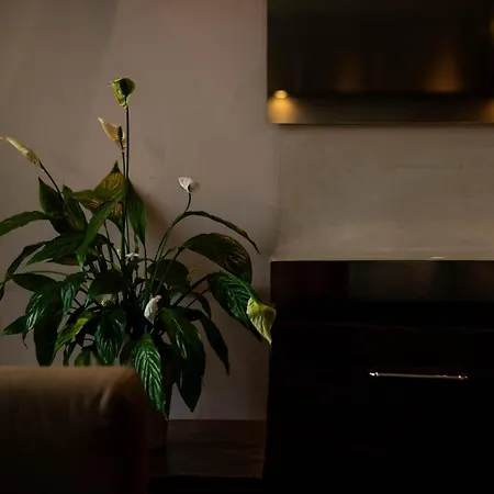 Hotel Axolute Comfort Cantù